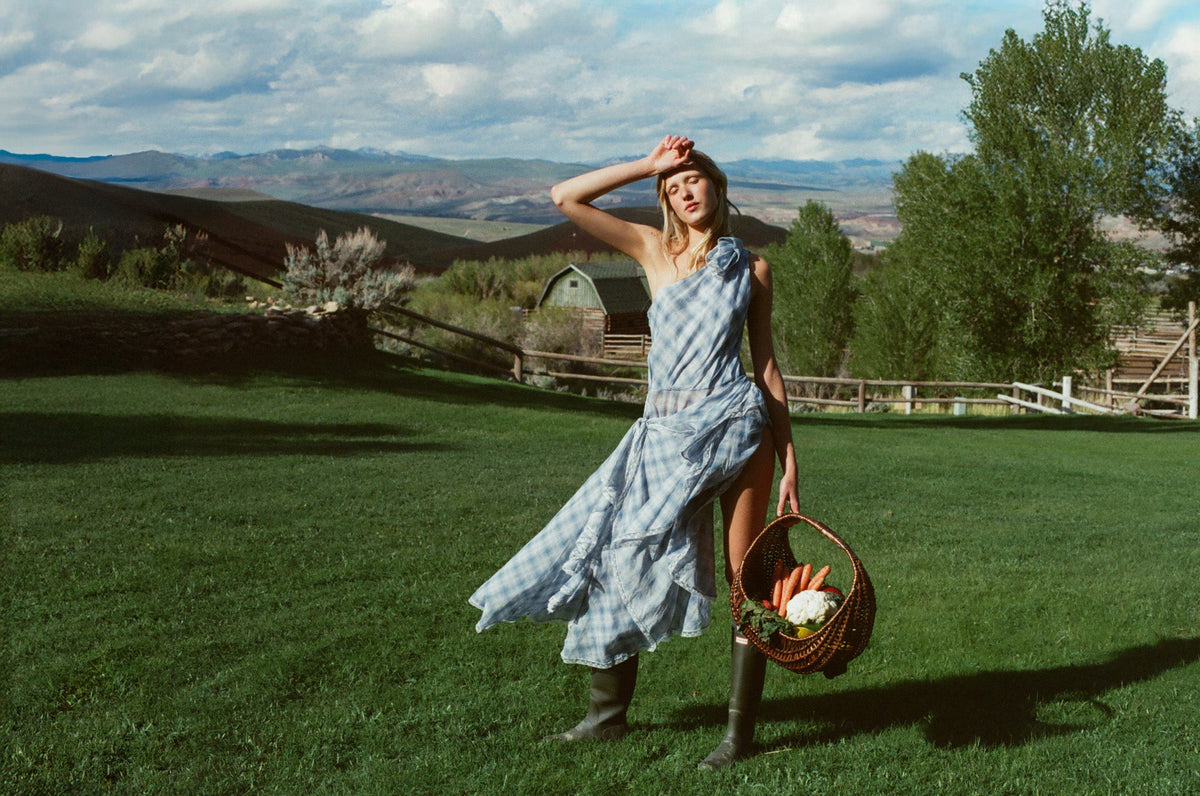 For Love & Lemons Bluebird Plaid Midi Dress