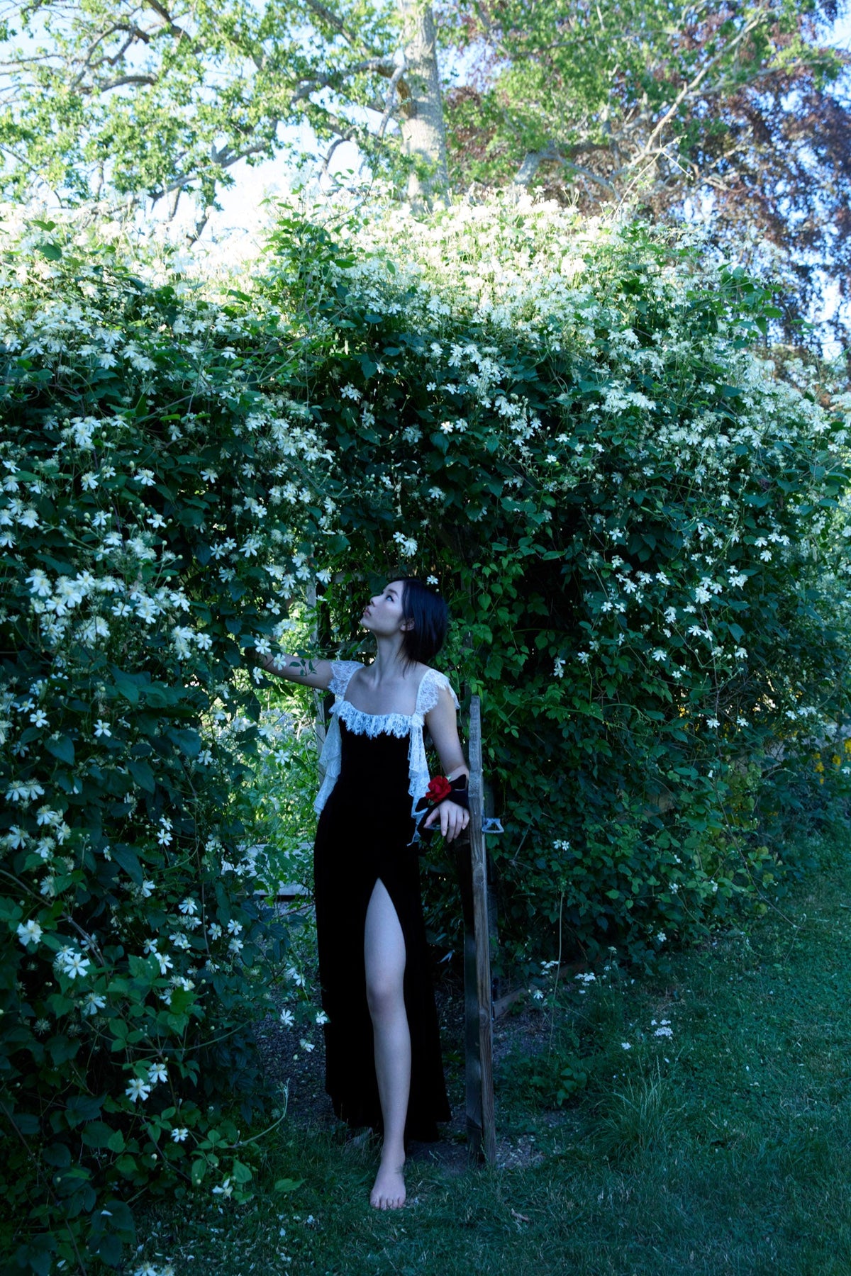 For Love & Lemons La Vie En Bow Velvet Maxi Dress