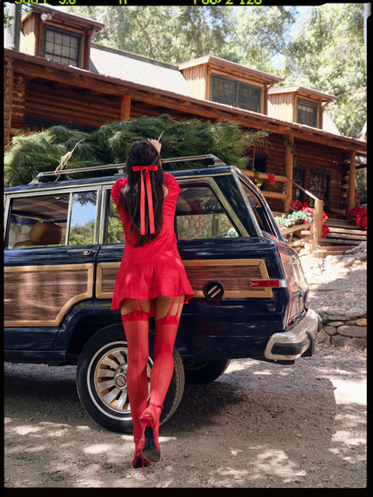 For Love & Lemons Zuri Mini Dress
