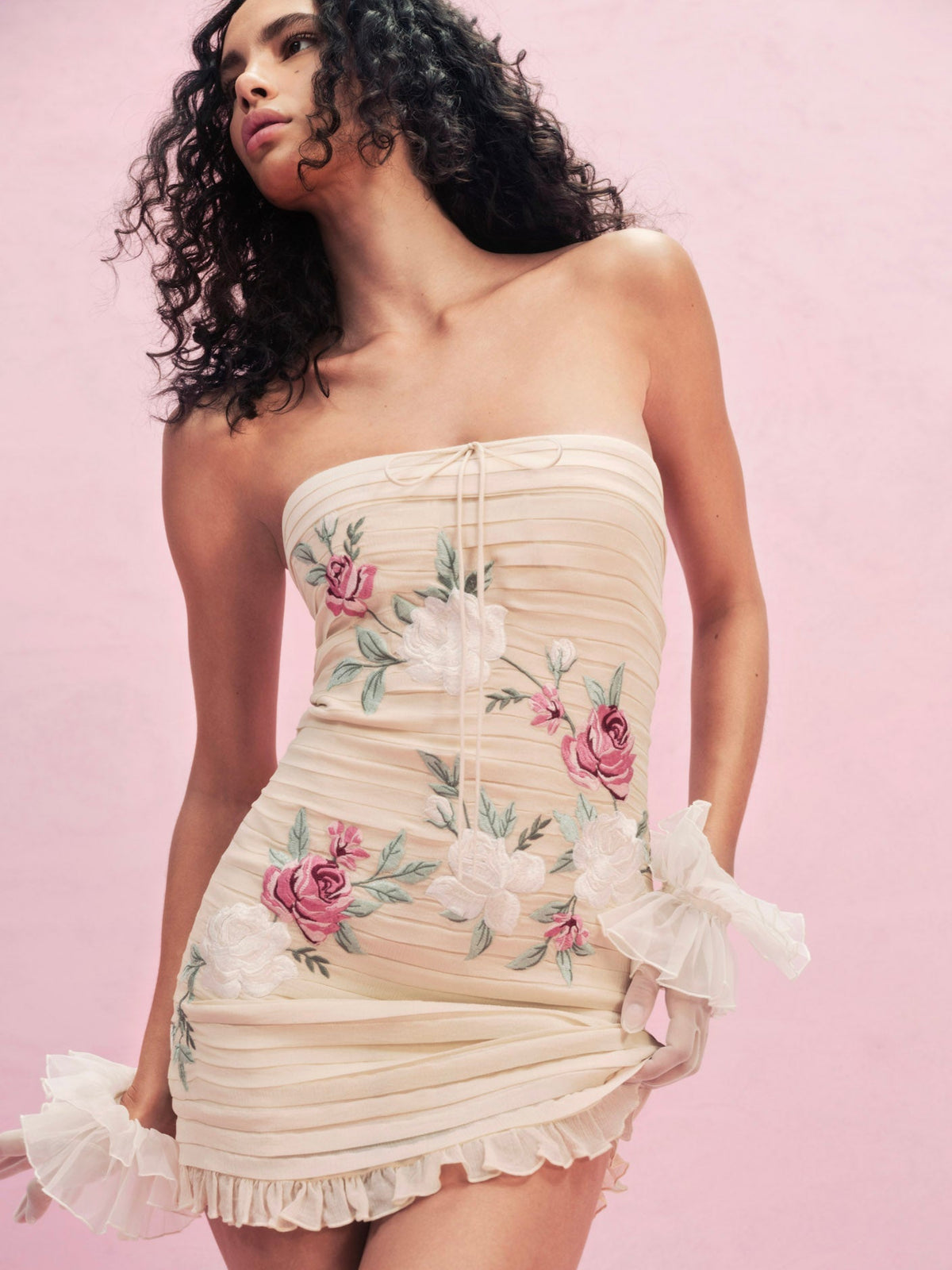 For Love & Lemons Climbing Rose Embroidered Mini Dress